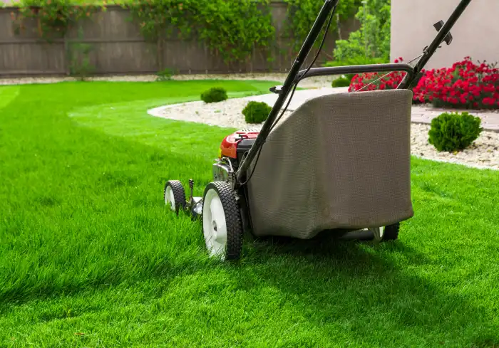 Guillard Environnement Elagueur A Geveze Pres De Pace Entretien Regulier